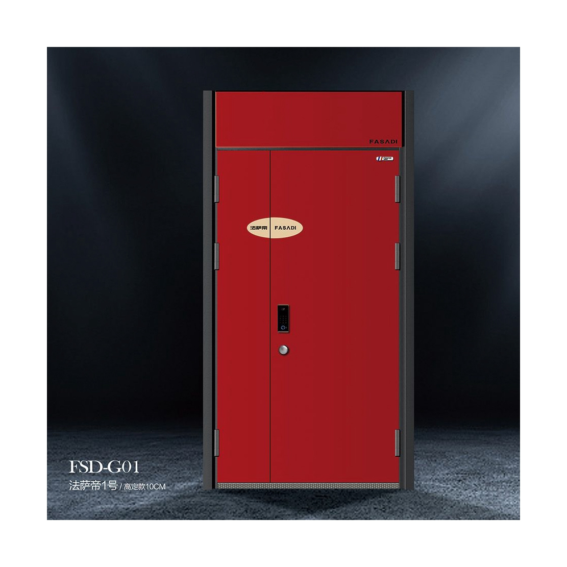 FSD-G01-������1��